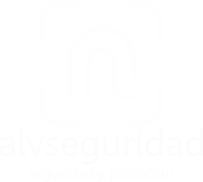 ALVSEGURIDAD